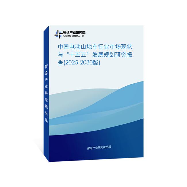 中国电动山地车行业市场现状与“十五五”发展规划研究报告(2025-2030版)